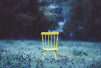 Flowers, Grass, Chair, Minimalism, Field HD wallpaper
