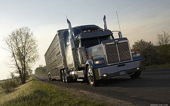 Transport, Auto, Trucks HD wallpaper