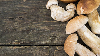 Mushrooms delicacy, Freshmag.ie, Savory treat, Woodland wonder HD wallpaper