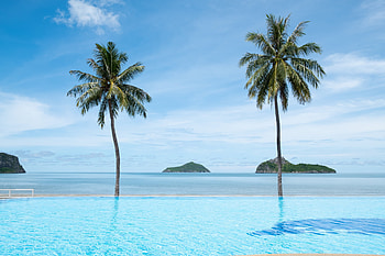 Summer Beach, Beach, Sand, Shore, Sea, Palm trees HD wallpaper