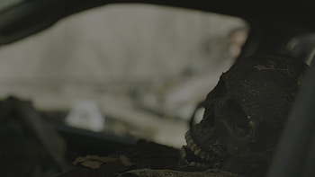 The last of Us (2023), TV Show, The Last Of Us HD wallpaper
