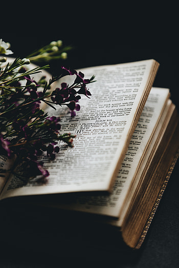 Flowers, Miscellanea, Miscellaneous, Blur, Smooth, Book, Coziness, Comfort, Reading HD phone wallpaper