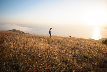Nature, Grass, Privacy, Seclusion, Field, Loneliness, Big Sur HD wallpaper
