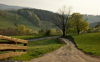 Nature, Summer, Road, Turn, Field, Fence, Country, Countryside HD wallpaper