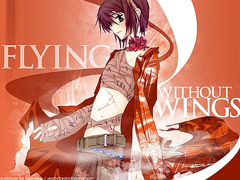 no wings, yoai, anime, cat boy, loveless HD wallpaper