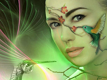 Hummingbird-2, hummingb, flightird, beautiful, look, woman, female HD wallpaper