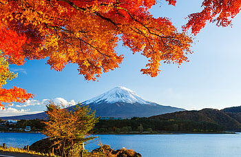 Mount Fuji, Travels, Japan, Autumn Forest HD wallpaper
