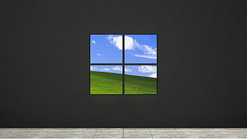 Microsoft Logo Windows 11 Windows 11 HD wallpaper