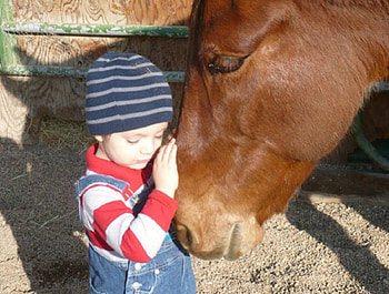 FUTURE JOCKEY, CUTE, HORSE, PATTING, CHILD HD wallpaper