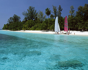 Sandy Shores Maldives, blue, beach, sandy, boats, trees, nature, sky, water, ocean HD wallpaper