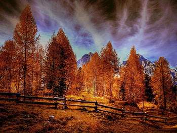 Alpine Mountains Autumn Forest Trees, autumn, forest, trees, nature HD wallpaper