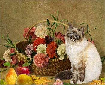cat with basket, basket, fruktis, cat, flowers HD wallpaper