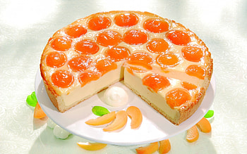 cheesecake , Exquisite treat, High-quality resolution, Captivating dessert HD wallpaper