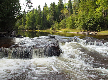 Wolf River, river, rapids, whitewater, waterfall, nature, water, forest HD wallpaper