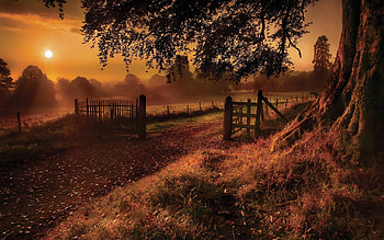 Country Music HD wallpaper