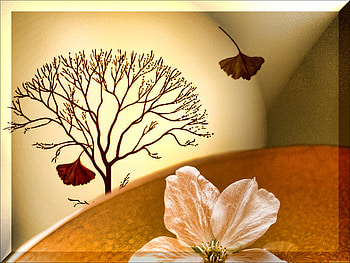 golden seasons, golden, abstract, seasons, 3d HD wallpaper