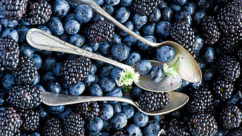 Blackberry, Vibrant , Berry delights, Perfectly ripe HD wallpaper