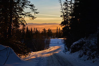 Winter, Nature, Trees, Sunset, Sky, Road, Forest HD wallpaper