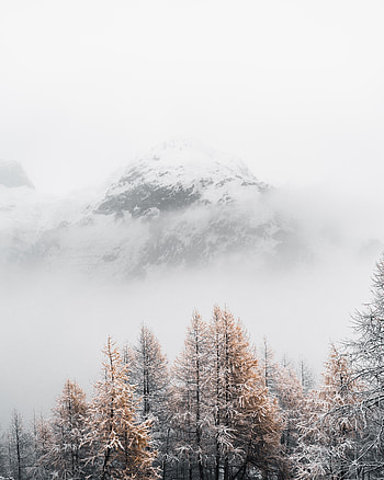 Landscape, Winter, Nature, Trees, Mountain, Vertex, Top, Fog HD phone wallpaper