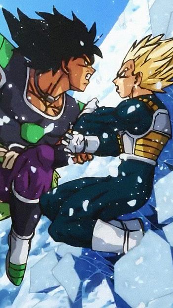 Quadro, fight, dragon ball HD phone wallpaper