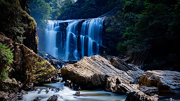 Nature, Water, Stones, Waterfall, Branches HD wallpaper