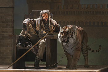 The Walking Dead, Ezekiel (The Walking Dead), Tv Show, Shiva (The Walking Dead), Tiger HD wallpaper