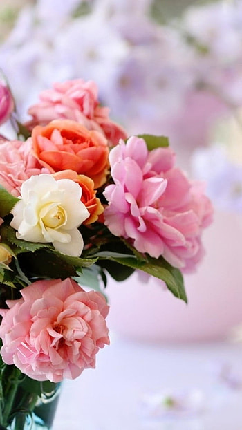 Flowers , Colorful Flowers, Background HD phone wallpaper