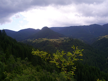 Rodopi, bulgaria, trees, sky HD wallpaper
