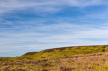 Nature, Grass, Sky, Field, Hill HD wallpaper