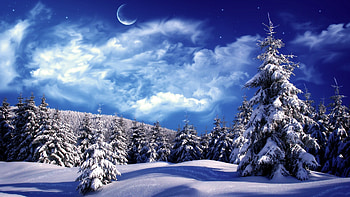 Winter and : Forest in winter Winter ) HD wallpaper