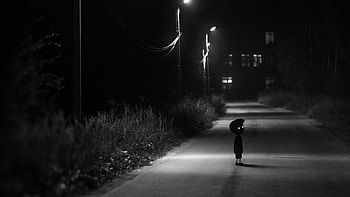Limbo , High-quality graphics, Striking visuals, Atmospheric journey HD wallpaper