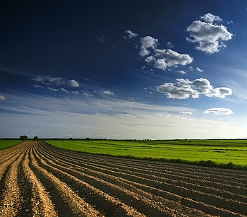 Dig That Earth, plowed earth, field, clouds, farm, sky HD wallpaper