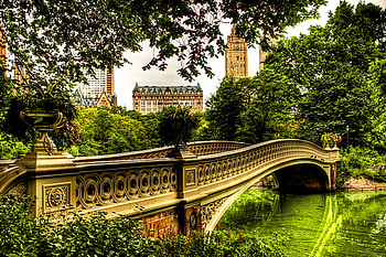 Cities, Rivers, Trees, Building, Bridge HD wallpaper