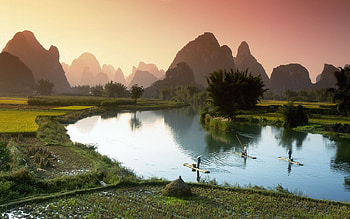 Nature, Fields, Boats, Fog, Morning, Crops, Vietnam, Viet Nam, Fishermen HD wallpaper