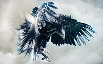 cool eagle pics HD wallpaper