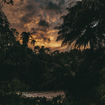 Evening sky, cloud, love, environment, natural, nature, moody, sunset, dusky, golden, cute HD phone wallpaper