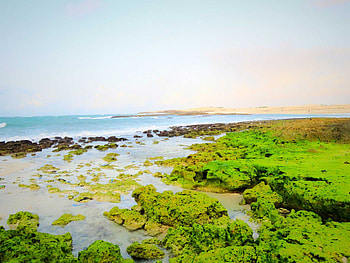 Somalia, Private security company, Tour operator, Guided tours HD wallpaper