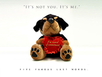 Love, Dog, Toy, Lettering, Inscriptions HD wallpaper