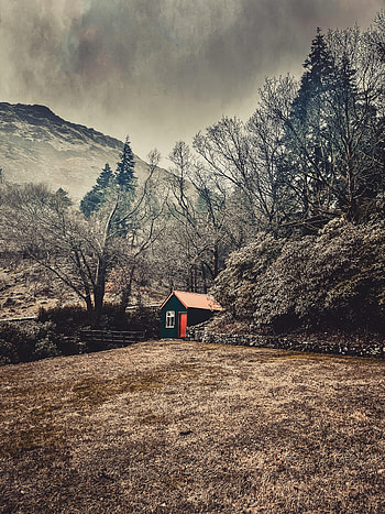 Nature, House, Loneliness, Coziness, Comfort HD phone wallpaper