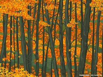 Autumn Woods, trees, autumn leaves, woods HD wallpaper