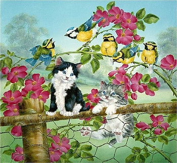 friends, natur, cats, birds, friend HD wallpaper