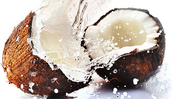 Splash, Coconuts HD wallpaper