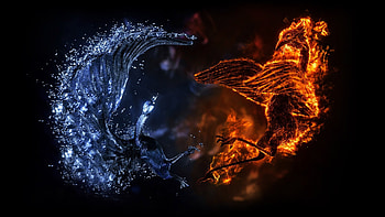 Battle of fire and water dragons and . HD wallpaper