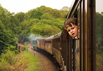 *E curios *, tren, periculos, viteza, baietel HD wallpaper