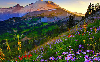 Summer Mountains, sunras, blossoms, landscape, colors, sky, flowers HD wallpaper