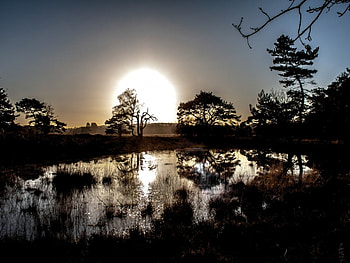 Lake in Reflection, lanscape, reflection, trees, silhouettes, nature, lake, sunset HD wallpaper