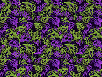 Flowers, abstraction, violet-green ornament HD wallpaper