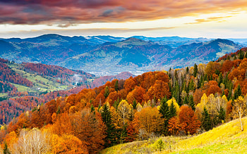 Autumn - colorful trees, trees, colorful, mountains, Autumn HD wallpaper