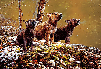 Nature's Song, artwork, painting, wolves, pups HD wallpaper