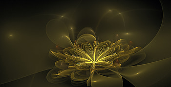 Abstract, Patterns, Fractal, Shroud HD wallpaper